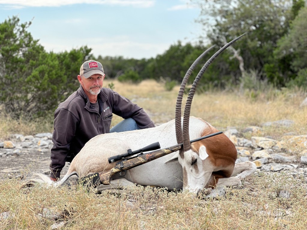 Scimitar Oryx